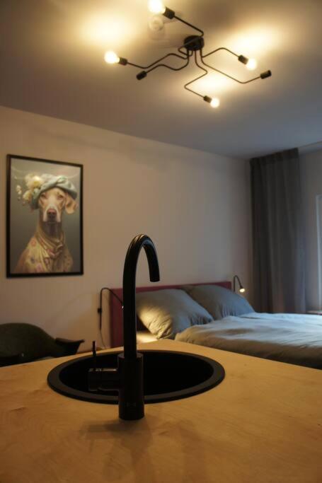 Ruhiges Apartment & Veranda Mit Guter Anbindung Bochum Esterno foto